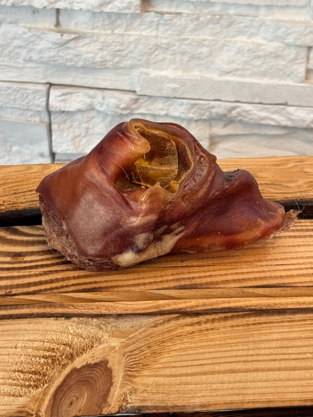 Rinderohrmuschel ohne Fell